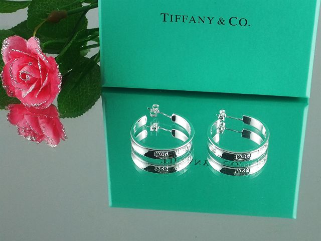 tiffany Earrings-097